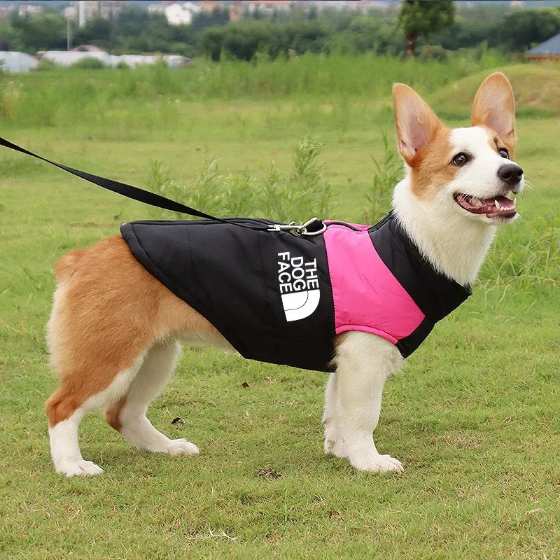 Manteau d'Hiver Imperméable pour Chien - Confort, Chaleur et Élégance