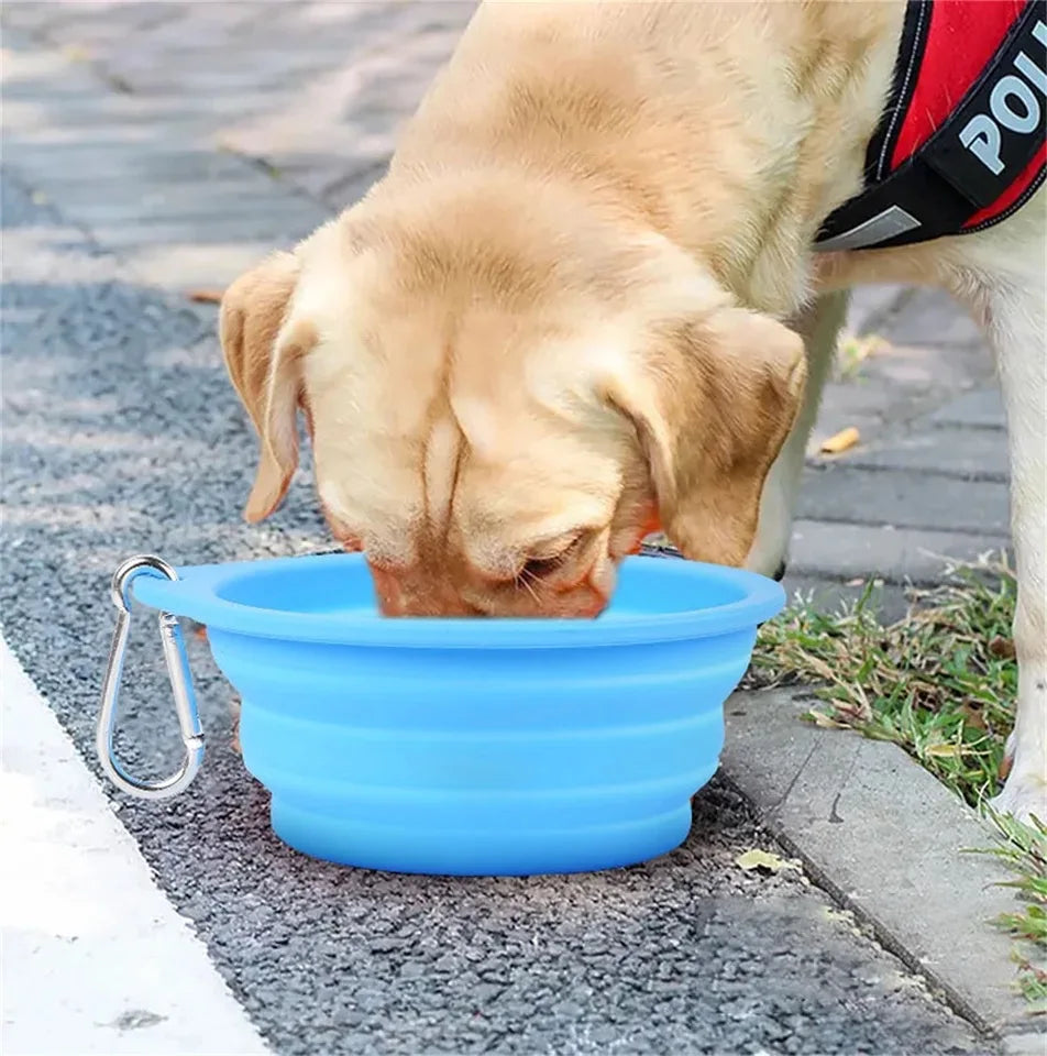 Gamelle de Voyage Pliable pour Chien