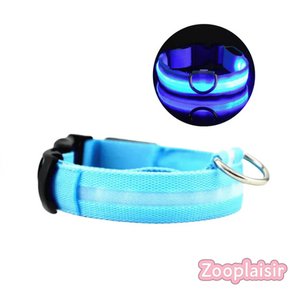 Collier LED Réglable pour Chien