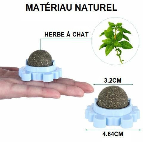 Balle d'Herbe à Chat avec Support – Stimulation et Bien-Être pour Votre Félin