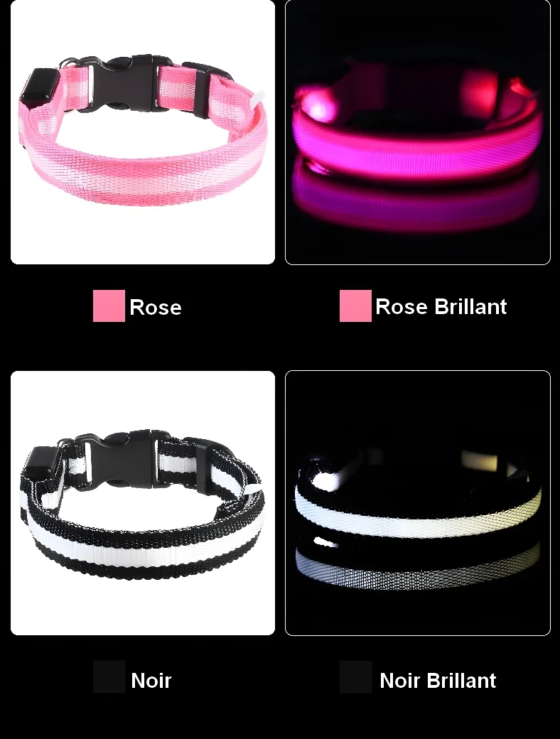 Collier Lumineux pour Chien