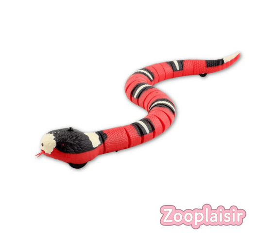 Serpent interactif pour chat