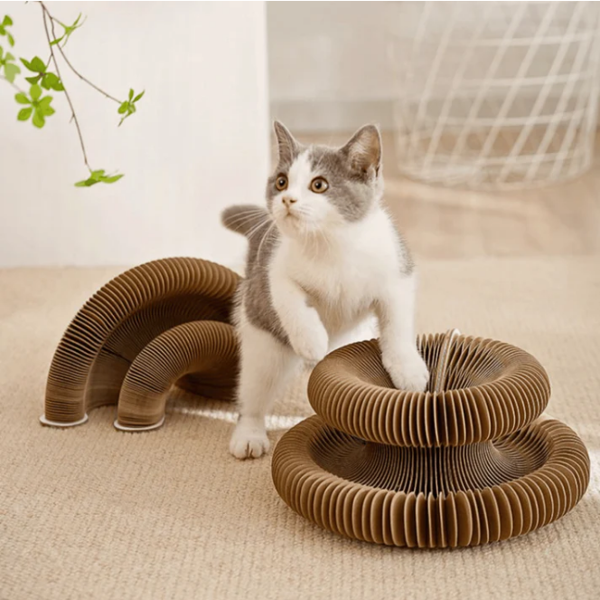 Griffoir Orgue pour Chat avec Balle