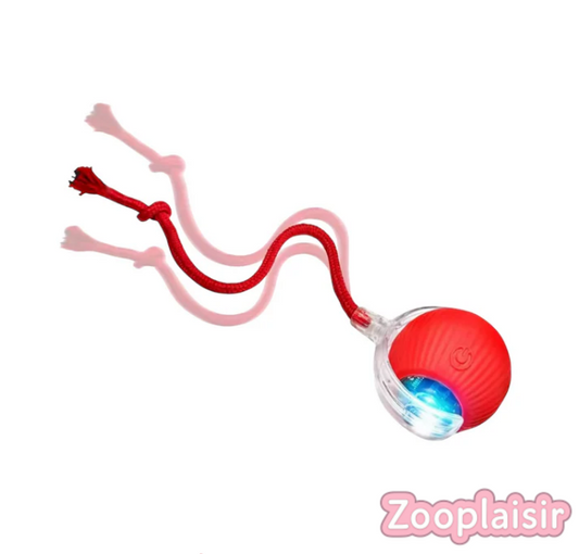 Balle Interactive avec Ficelle pour Chat