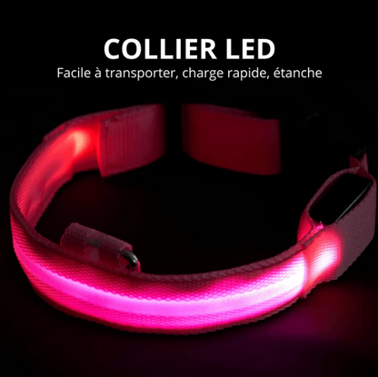 Collier LED Réglable pour Chien