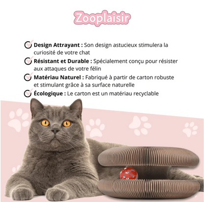 Griffoir Orgue pour Chat avec Balle