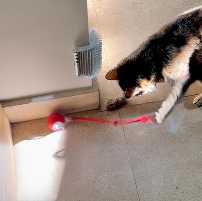 Balle Interactive avec Ficelle pour Chat
