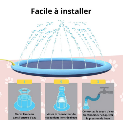 Piscine Fontaine pour Chien