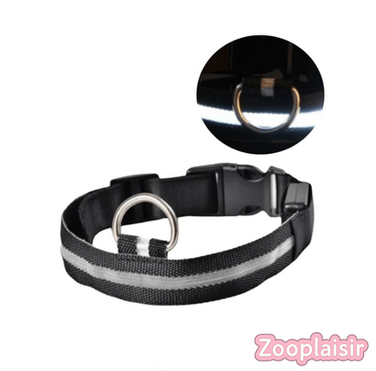 Collier LED Réglable pour Chien