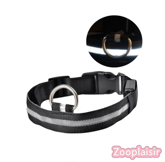 Collier LED Réglable pour Chien