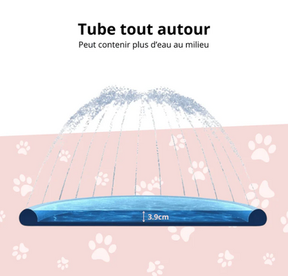 Piscine Fontaine pour Chien