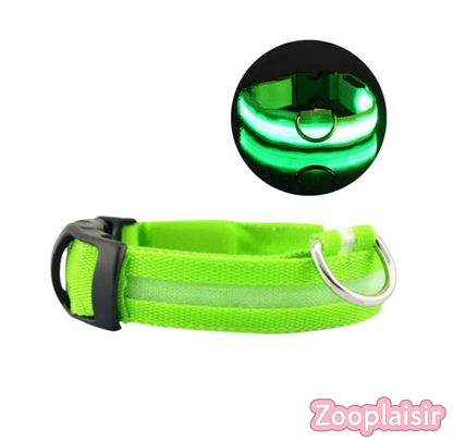 Collier LED Réglable pour Chien