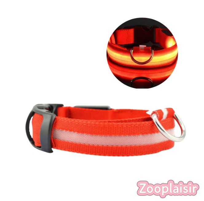 Collier LED Réglable pour Chien